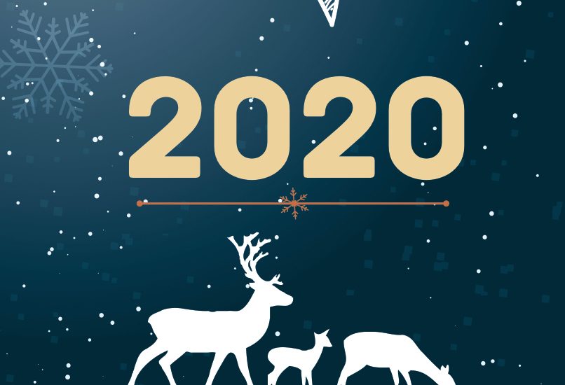 Carte de voeux BBZ cosneil 2020